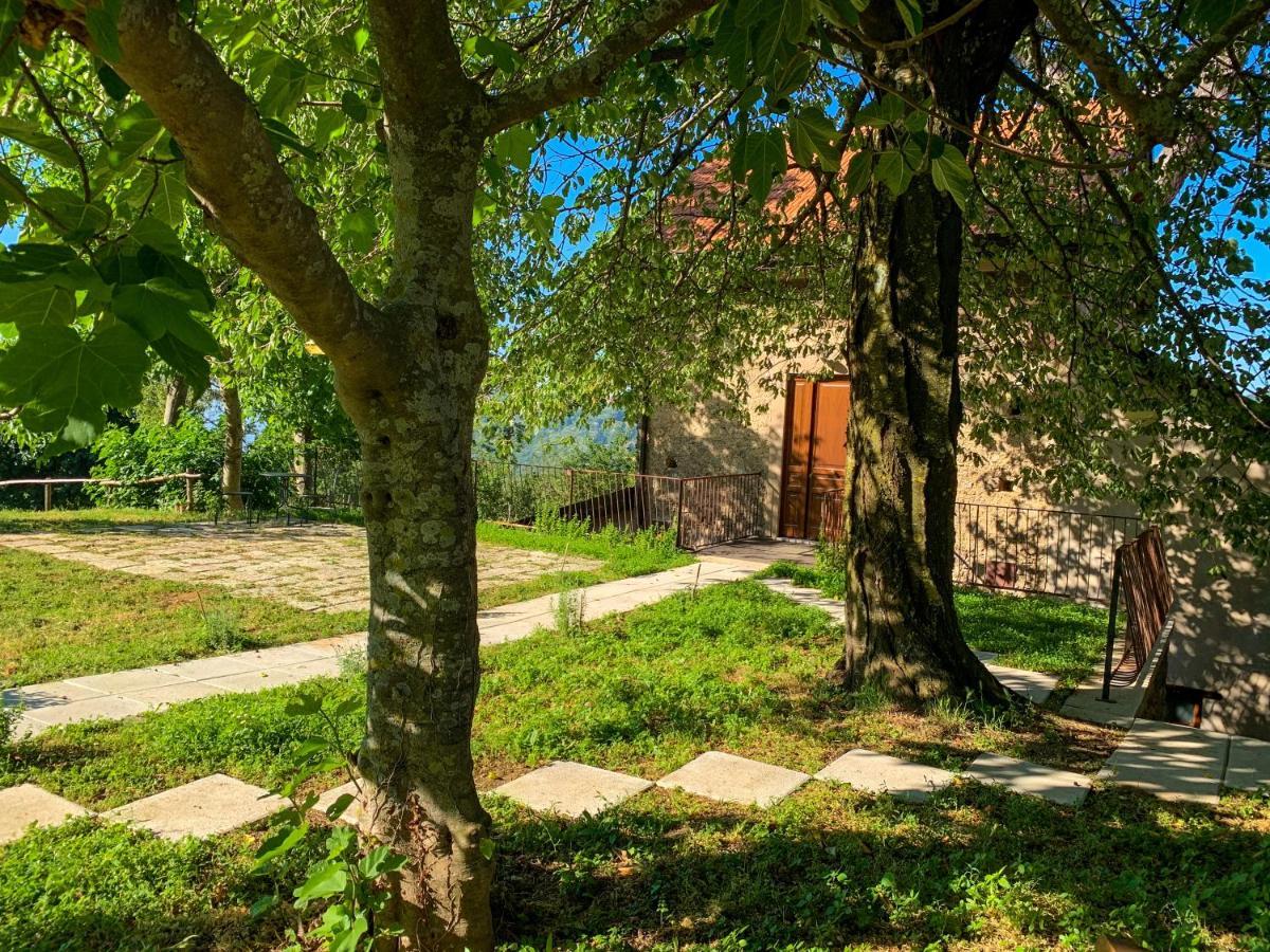 Tenuta Novecento Bioagriturismo Аджерола Экстерьер фото