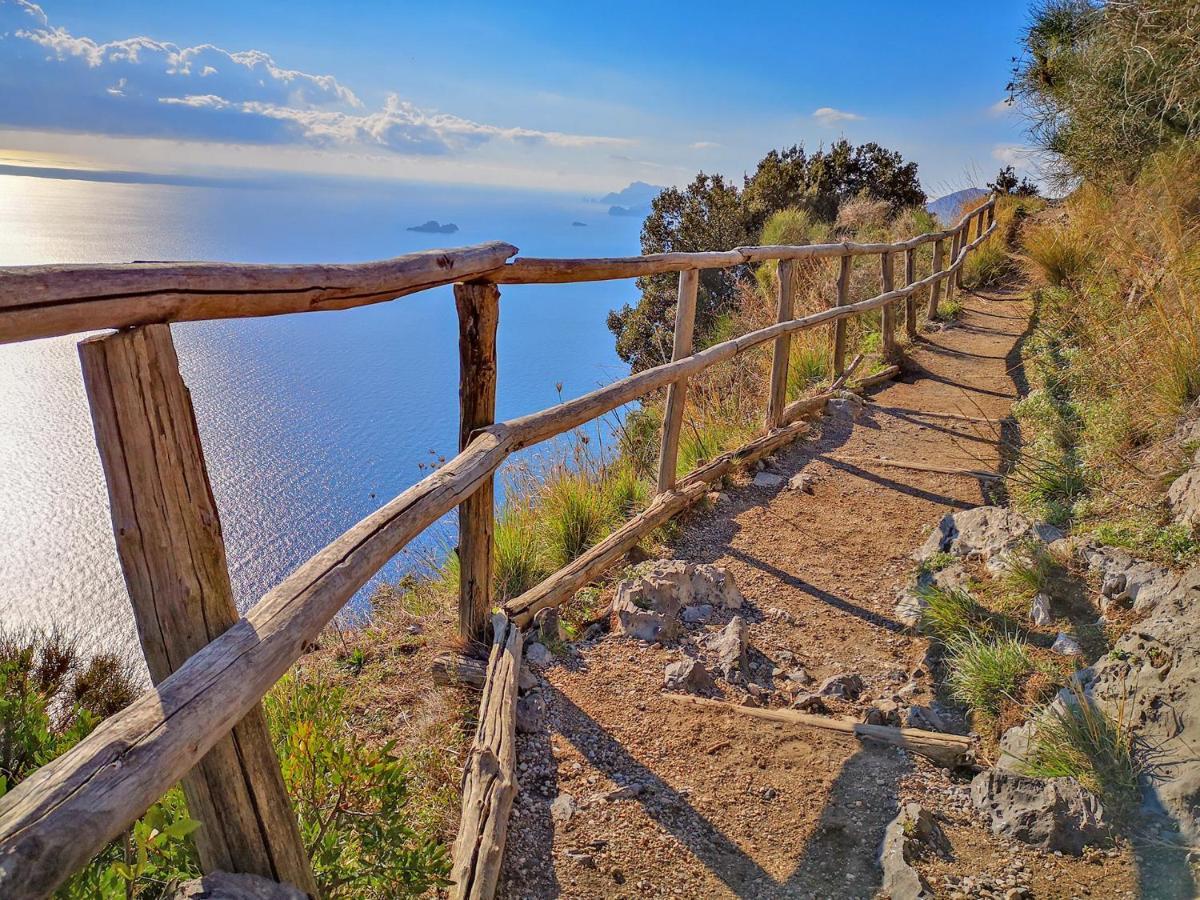 Tenuta Novecento Bioagriturismo Аджерола Экстерьер фото